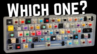 How to Choose the Perfect Switch For YOU [upl. by Farrel]