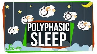 What Do Scientists Really Know About Polyphasic Sleep [upl. by Hteb]