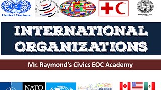 International Organizations  42 Governmental and NGOs  Benchmark Civics EOC [upl. by Orfurd587]