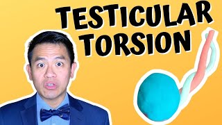 Testicular Torsion  What To Do About This Urologic Emergency [upl. by Learsiy]