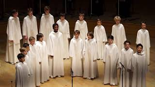 Libera The Moon Represents My Heart  1027 Shanghai Symphony Orchestra Hall [upl. by Copeland546]