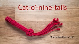 Mini Catoninetails Tutorial [upl. by Eixid]