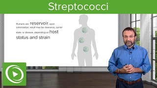 Streptococci – Microbiology  Lecturio [upl. by Rozele]