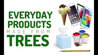 You Wont Believe THESE Products Are Made from Trees  Georgia Forests [upl. by Halimeda]