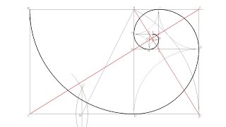 How to draw a Golden Ratio Spiral [upl. by Arman625]