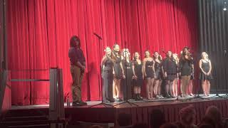 Barden Bellas Finals  Pitch Perfect Cover by Hips n Harmony [upl. by Annaer878]