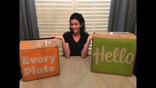 Review of EveryPlate and Hello Fresh Meals [upl. by Annenn]