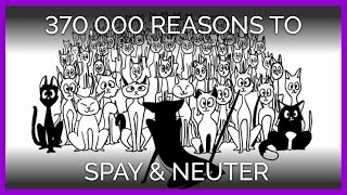 370000 Reasons to Spay and Neuter  An Animated Short [upl. by Ardnasxela]