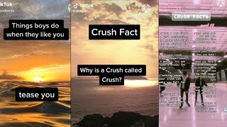 Crush facts😏 Tik Tok Compilation ✨💙 [upl. by Geraud259]