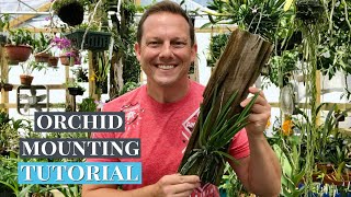 Orchid Mounting TUTORIAL [upl. by Joan]