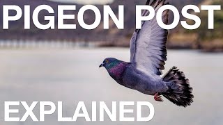 Pigeon Post  Explained [upl. by Teraj336]