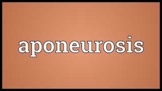 Aponeurosis Meaning [upl. by Ahsataj807]