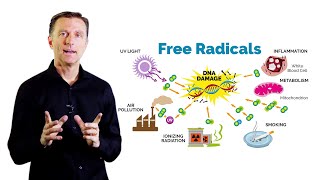 What Is Oxidation – DrBerg on Free Radicals and Antioxidants [upl. by Karl199]