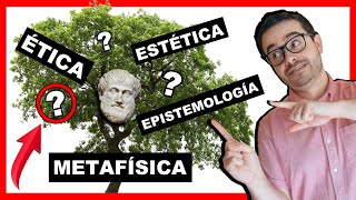 ðŸŒ³ Las RAMAS DE LA FILOSOFIÌA â–º 193 Disciplinas FASCINANTESðŸ˜Ž [upl. by Huan]