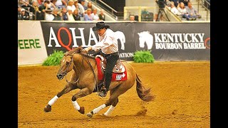 REINING CHAMPIONSHIPS AT THE KENTUCKY HORSE PARK [upl. by Smalley]