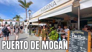 Puerto de Mogan  SHOCKING Prices or AFFORDABLE [upl. by Adda]