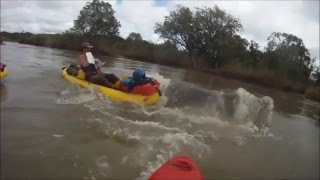 LUGENDA Expedition 2012 Hippo Attack in Kayaks [upl. by Yenahs]