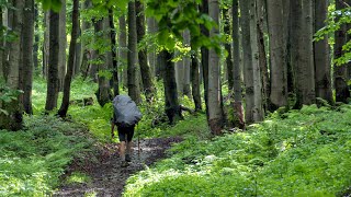 Beskid Niski  Lipiec 2020 [upl. by Akiria]