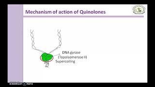 Quinolones Mechanism of action [upl. by Kielty]