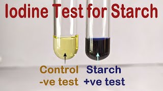 Iodine Test For Starch Practical Experiment [upl. by Hum]