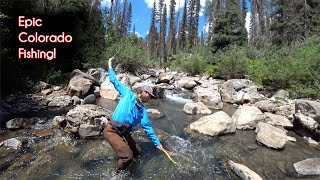 The TOP 10 fishing spots in Colorado  McFly Angler Fly Fishing [upl. by Anilrats]