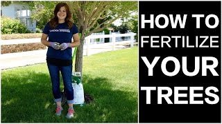 How to Fertilize Trees [upl. by Adnolat]