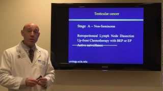 Undescended testicle cryptorchidism  Causes Diagnosis Symptoms Treatment [upl. by Bebe]