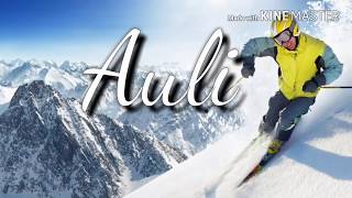 Auli Top 10 Tourist Places In Hindi  Auli Tourism  Uttarakhand [upl. by Couhp]