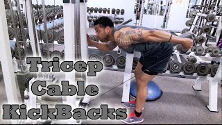 Tricep Cable Kickbacks  Fitness Kensho [upl. by Haorbed]