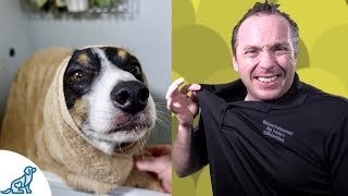 Simple Hacks To Bath Your Dog  Professional Dog Training Tips [upl. by Yrrat]