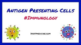 Antigen Presenting Cells  Immunology [upl. by Anniahs]