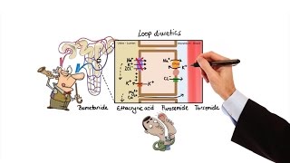 Pharmacology  DIURETICS MADE EASY [upl. by Sandon]