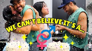 Getting our GENDER REVEAL CAKE [upl. by Modern842]