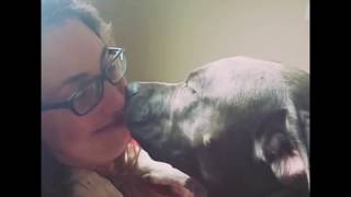 Girl Gets Some Kisses From Her Pitbull [upl. by Nadual]