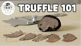 The Beginners Guide to Truffles [upl. by Ribble]