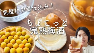 【少量仕込み！】ちょこっと完熟梅酒はちみつ梅酒のレシピ・作り方 [upl. by Gisella]