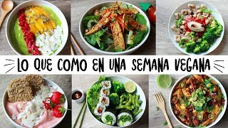 LO QUE COMO EN UNA SEMANA  VEGANO amp SALUDABLE [upl. by Endres]