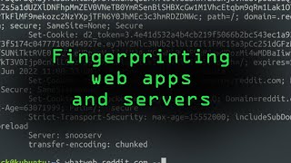 Fingerprint Web Apps amp Servers for Better Recon Tutorial [upl. by Noelani]