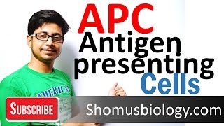 Antigen presenting cells APC [upl. by Esinrahc770]