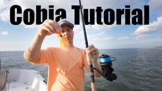 How to Catch Cobia Full Tutorial  Live Bait Eels and Bucktails [upl. by Eseerahs]