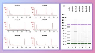 Forensic DNA Profiling Part I [upl. by Morse]