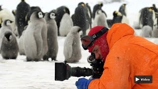 Planet Wissen  Abenteuer Naturfilm [upl. by Quince]