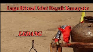 Ledang lagu ritual adat dayak [upl. by Atrice428]