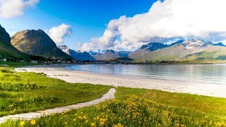 Uplifting Music  light positive happy music Gullrosøya  1 hour [upl. by Harve]