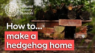 How to make a hedgehog house  Natural History Museum [upl. by Ssitnerp390]