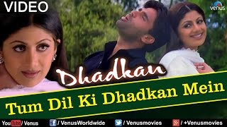 Tum Dil Ki Dhadkan Mein  Duet Dhadkan [upl. by Airamahs505]