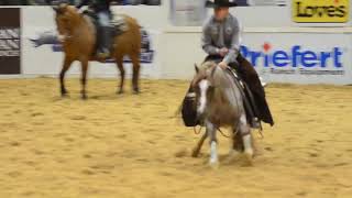 2023 NCHA Futurity Champion [upl. by Wadlinger]