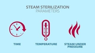 Understanding Steam Sterilization [upl. by Utta961]