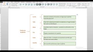 CUADRO SINOPTICO EN EXCEL Y COPIAR A WORD [upl. by Clio]