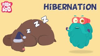 Hibernation  The Dr Binocs Show  Learn Videos For Kids [upl. by Tuchman]